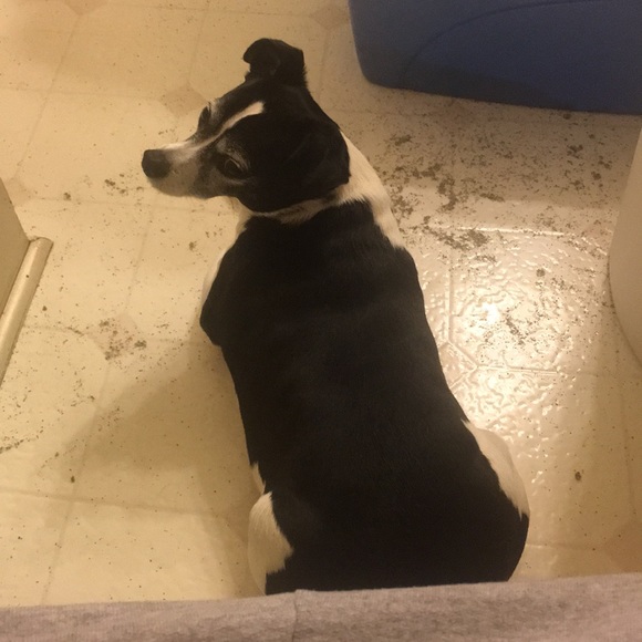 Meet your Posher, Debbie - Picture 1 of 1